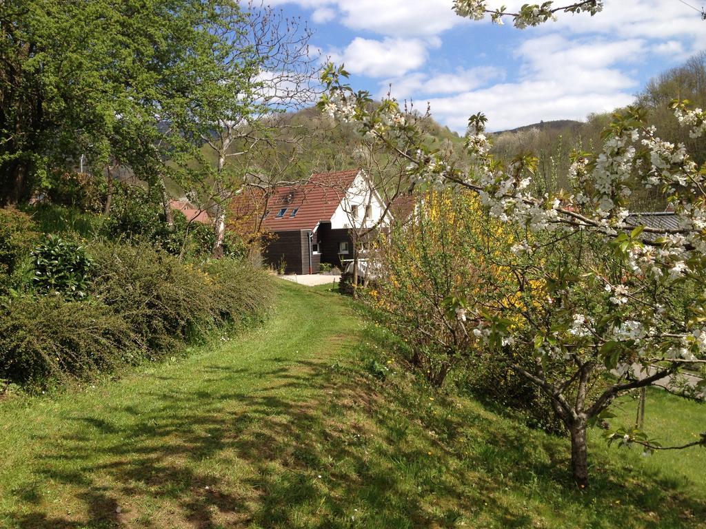 Gite Bellevue Breitenbach Værelse billede