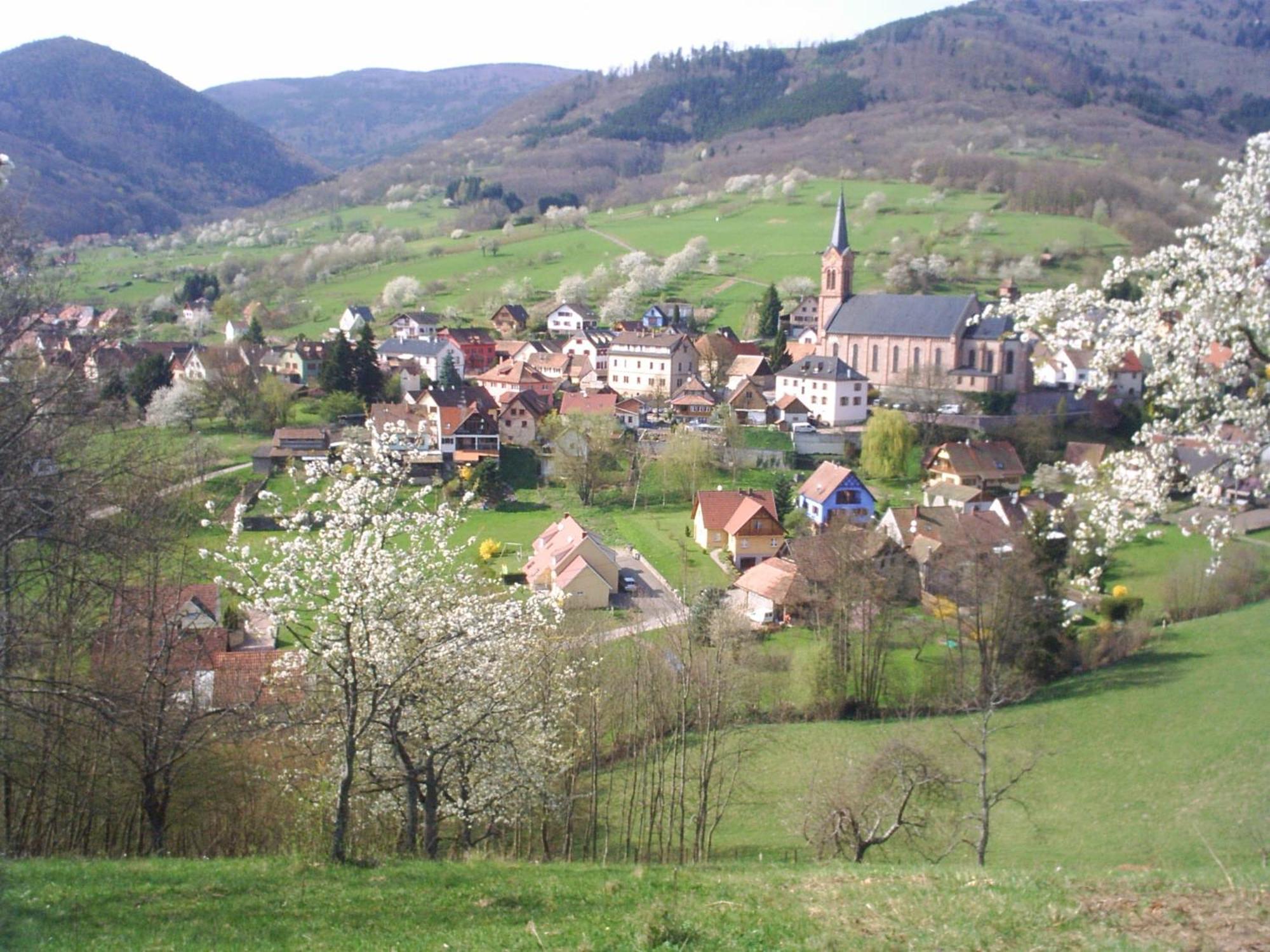 Gite Bellevue Breitenbach Eksteriør billede